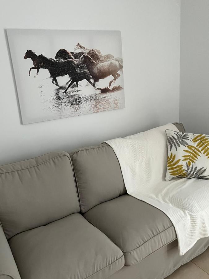 Sherry Suites VI Apartamentos Parking Gratuito Херес-де-ла-Фронтера Екстер'єр фото